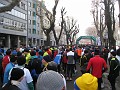 2012 Lecco Italy Half Marathon 320
